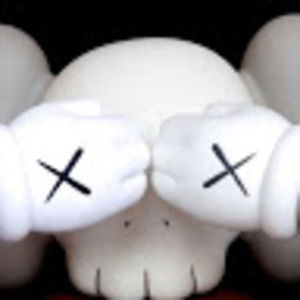 Meet your Posher, Sam.roller